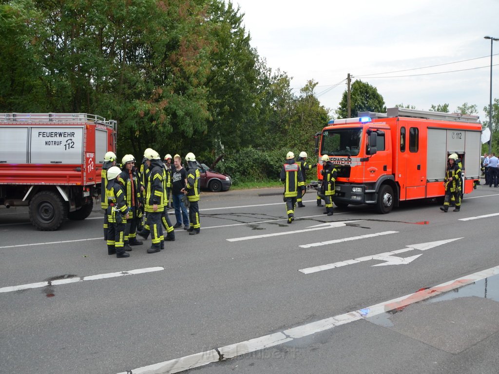 PKlemm Koeln Duennwald Am Weissen Moench Duennwalder Kommunalweg P40.JPG - Miklos Laubert